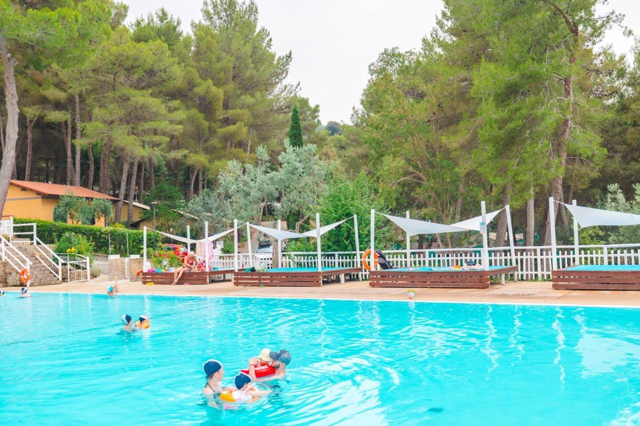 Le Pianacce Camping Village كاستاجنيتو كاردوتشي المظهر الخارجي الصورة